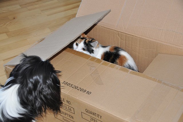 Bay Area Residential Movers long-distance-movers-bay-area