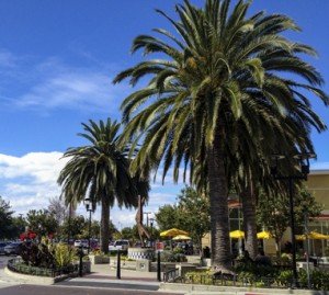 Dublin Moving Company, Movers in the Bay Area Fremont Movers, Dublin Moving Company, Movers in the Bay Area, Mountain View packing and storage, dublin, pleasanton, livermore, san ramon